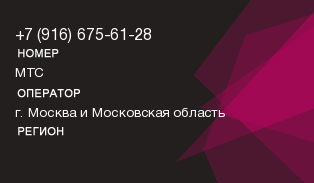 9166756128